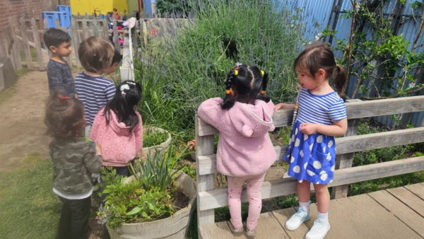 Laurel Play Gardens Premium Childcare Early Childcare Learning Center School San Jose